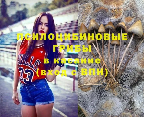 спиды Алзамай