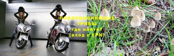 спиды Алзамай