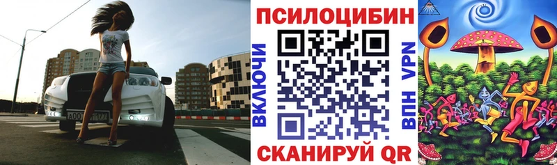 купить   Сурск  Галлюциногенные грибы мицелий 